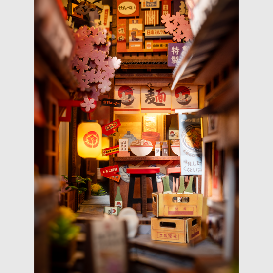 Sakura Wine Alley DIY Book Nook 3D Wooden Puzzle