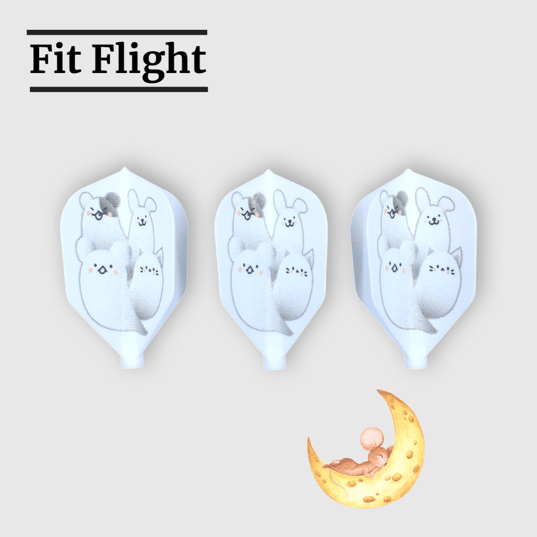 Fit Flight x D Craft Shape Ghost 2019 NZ
