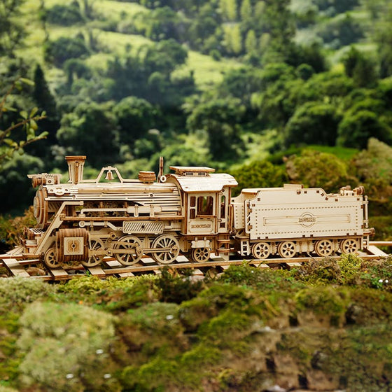 Steam Train Puzzle NZ