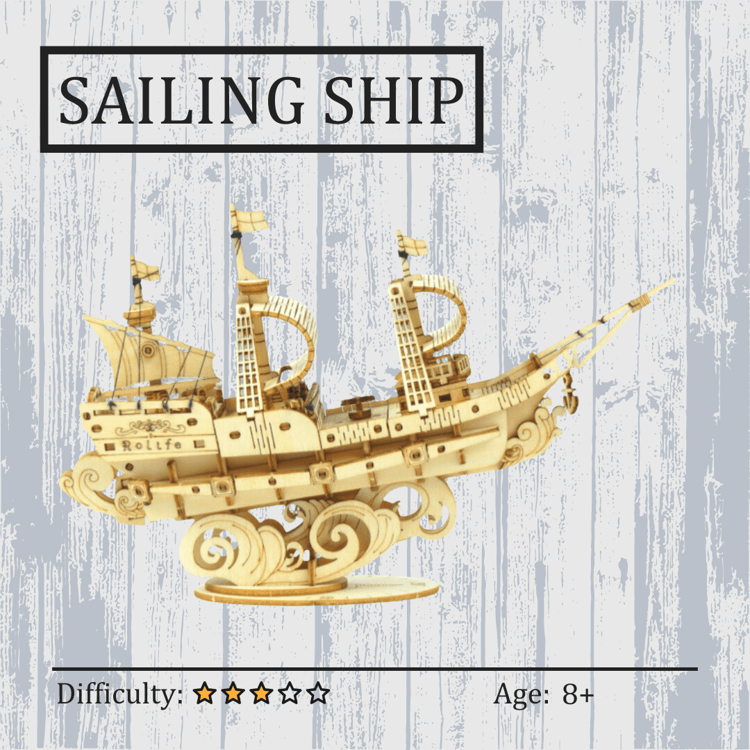 Sailing Chip Puzzle NZ