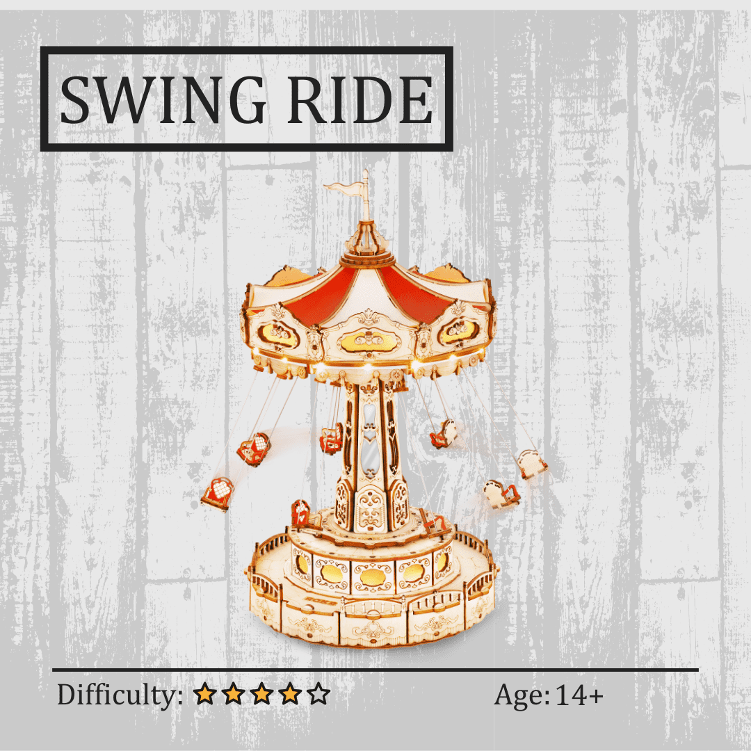Amusement Swing Puzzle NZ